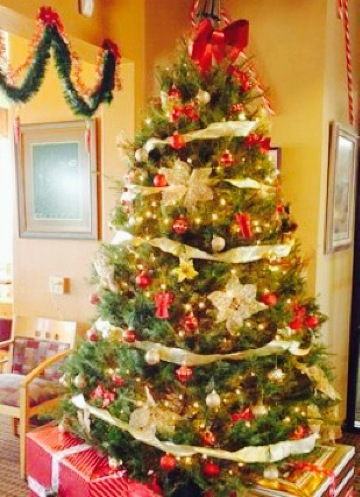 Coyote Grill餐厅图片