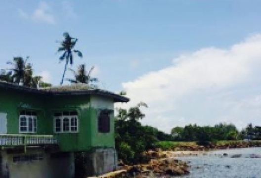 Sud Chai Dan Trad美食图片