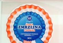 Zmrzlina u Staráku美食图片