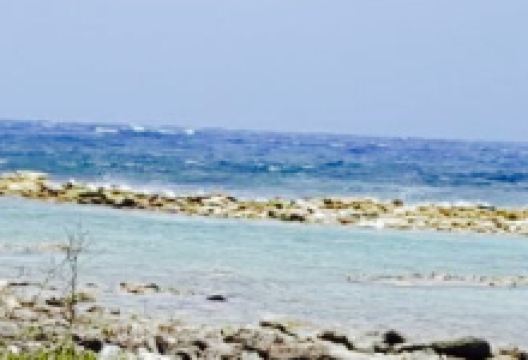 Baby Beach Snack美食图片