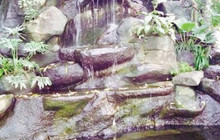 Baan Suan Suda Phon餐厅图片