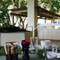 Treetops Bar and Grille
