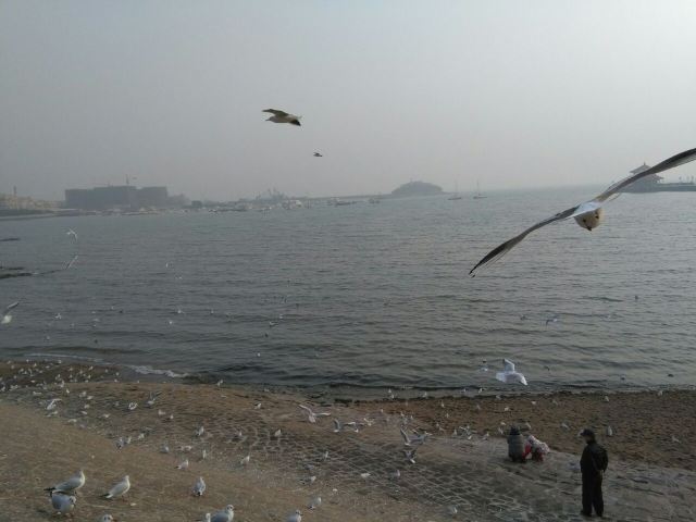 잔교(잔차오)