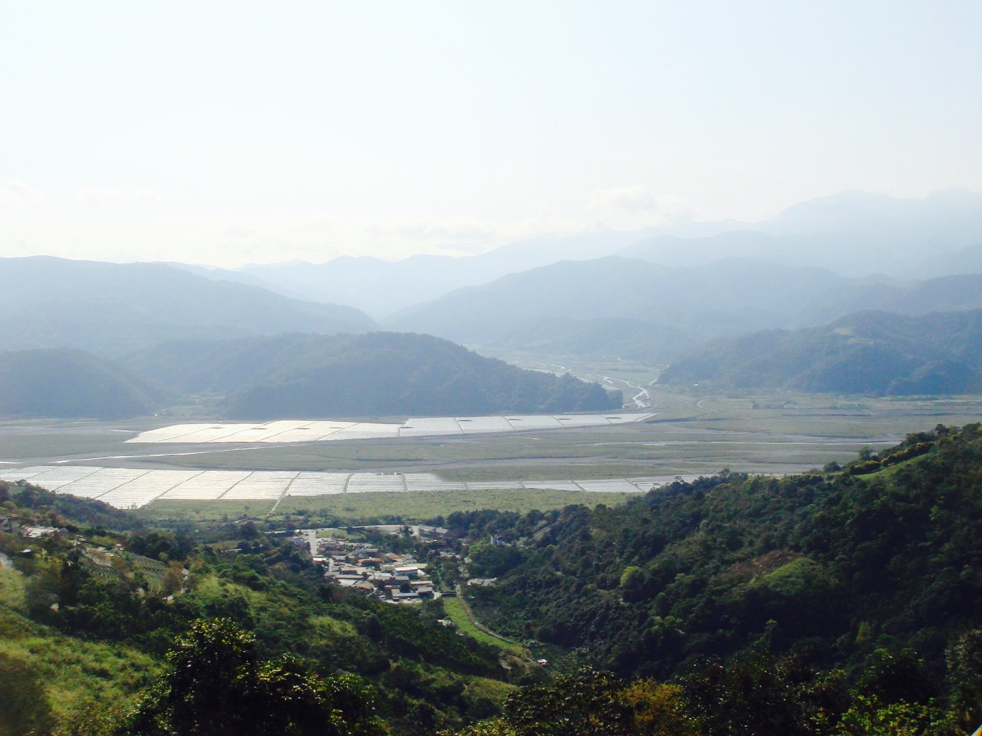 Yilan Datong Yulan Tea Garden