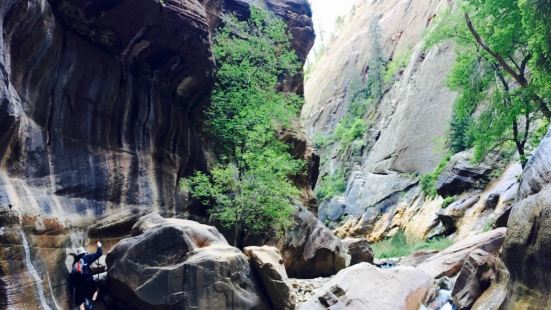 Orderville Canyon