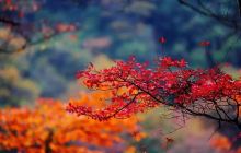 成都至拉萨的TV9882号航班什么时间起飞