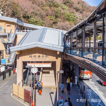 日本东京+箱根+伊豆6日5晚私家团