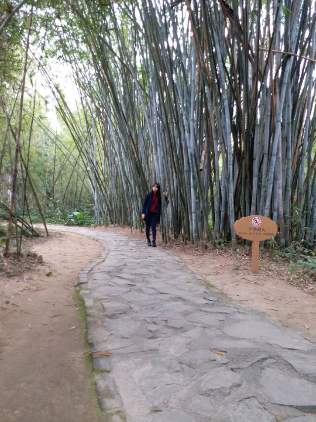 Ma-Xianglong Towers Group