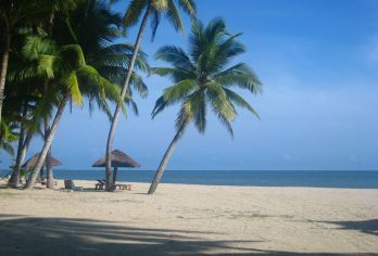 海南文昌航天科普馆+东郊椰林+文南老街一日游可供英文服务【探秘文昌航天科普馆，开启星际穿越奇妙之旅】