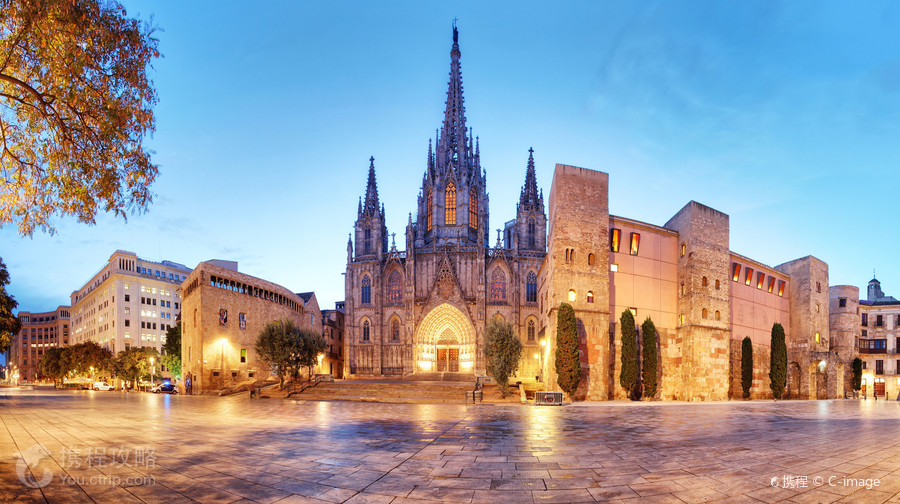 Cathedral of Barcelona