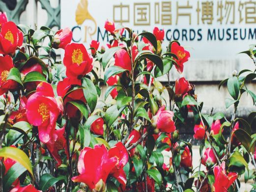 中国唱片博物馆