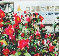 中国唱片博物馆-厦门-xxxixxn