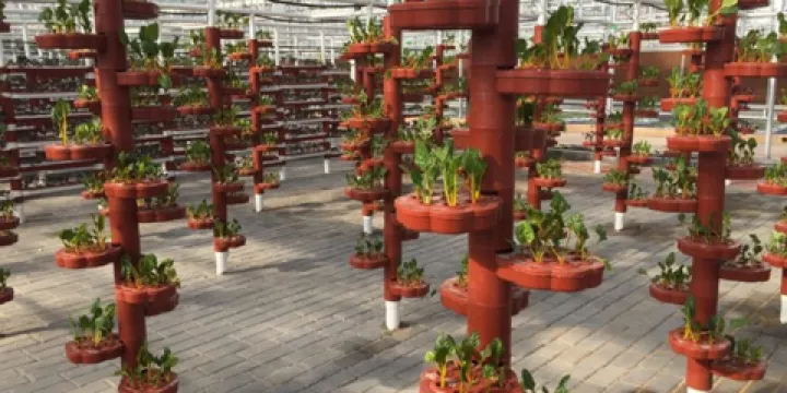 尋烏蔬菜主題文化園