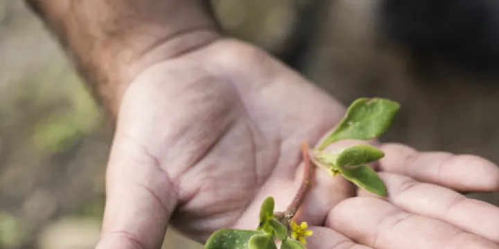 陶爾希爾野生動物自然保護區