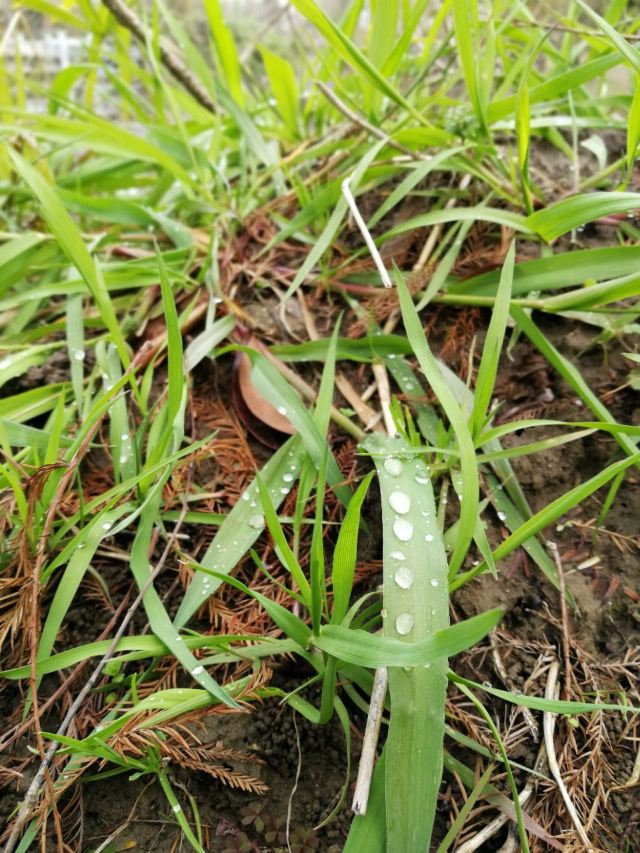 南通濱江公園