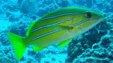 郑州海洋馆-郑州-doris圈圈