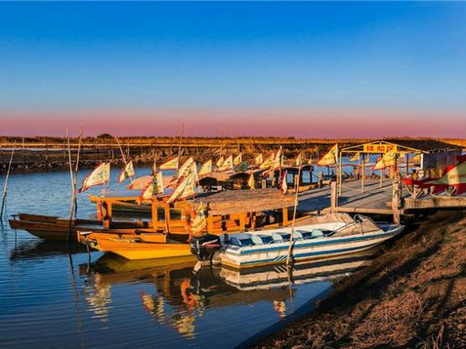 高邮湖芦苇荡湿地公园