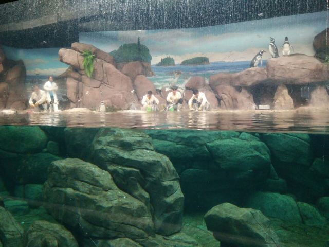 Qujiang Polar Ocean Park