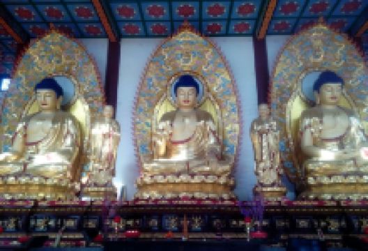 献县大乐寿寺景点图片