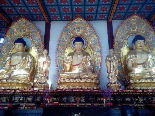 献县大乐寿寺