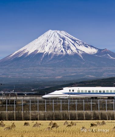 7D6N • Japan + Osaka + Tokyo + Mount Fuji + Kyoto