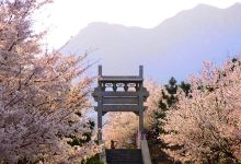 樱花山风景区景点图片