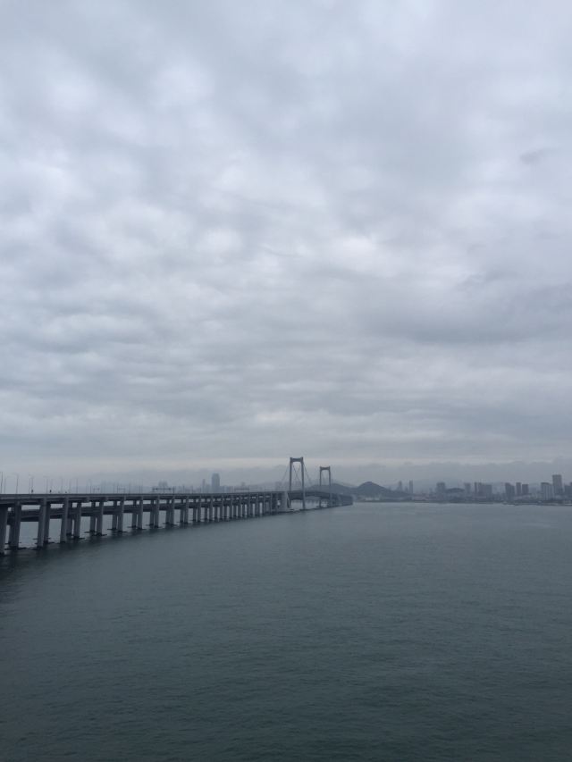 과해대교