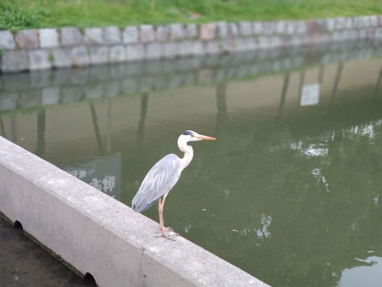 Toji Travel Guidebook Must Visit Attractions In Kyoto Toji Nearby Recommendation Trip Com