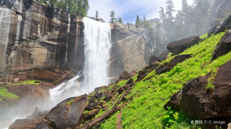 4-Day San Francisco Tour from Los Angeles · 17-Mile Drive, San Francisco City Tour and Yosemite National Park
