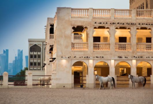 卡塔尔中文司导5小时半日游【机场酒店可接，可拼车包车可旅拍】【卡塔尔落地散拼，机场酒店可接送，中文司兼导】