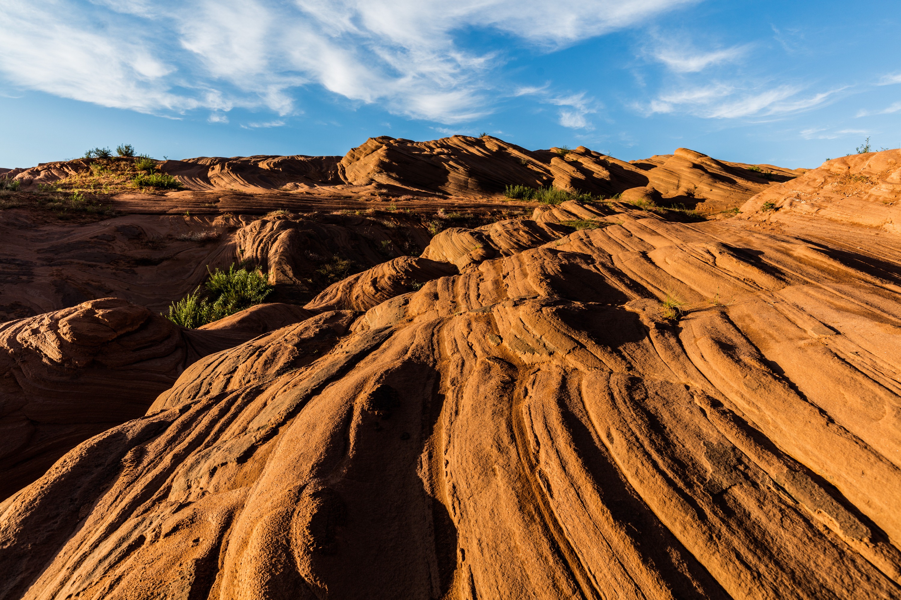 1-Day Jingbian County Tour: Explore the Natural Wonders of The Wave Valley and Majestic Colors of Longzhou Danxia