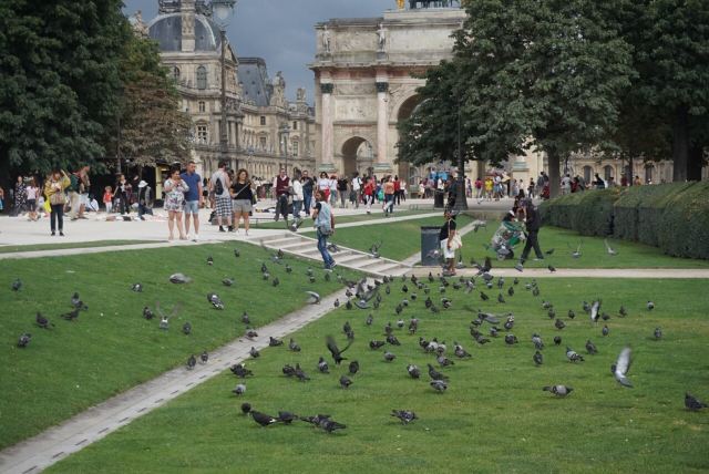 Tuileries Garden