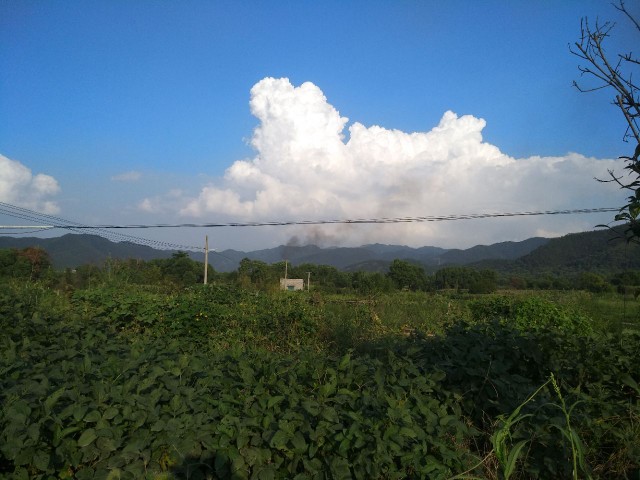 义乌山里空气好