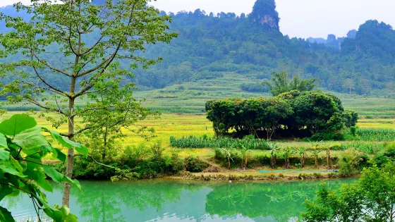 龍洪自然風景區