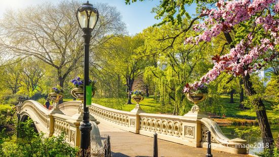 Bow Bridge