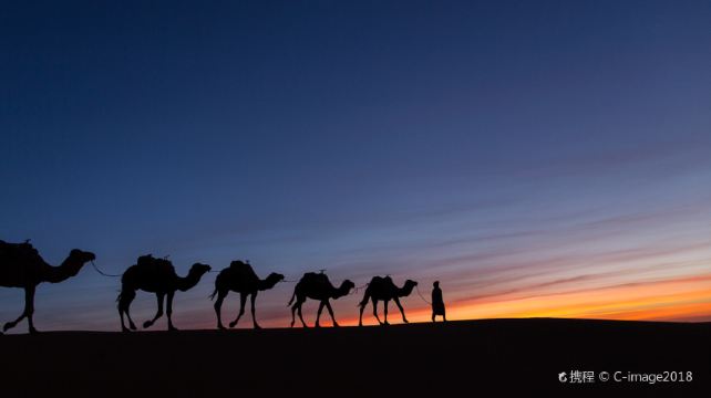 摩洛哥撒哈拉沙漠3日跟團遊·天天發團+贈送駱駝騎行體驗