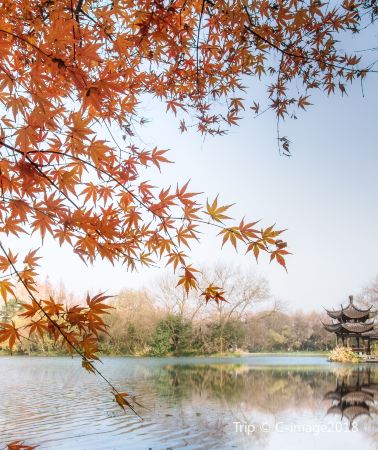 3D2N • Hangzhou + Xitang Historic Town of China + Wuzhen