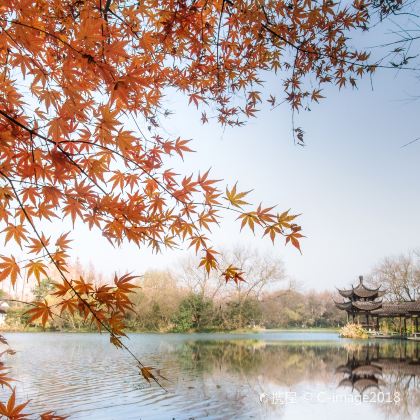 苏州+乌镇+杭州+上海4日3晚跟团游
