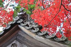 西明寺-京都-234****816