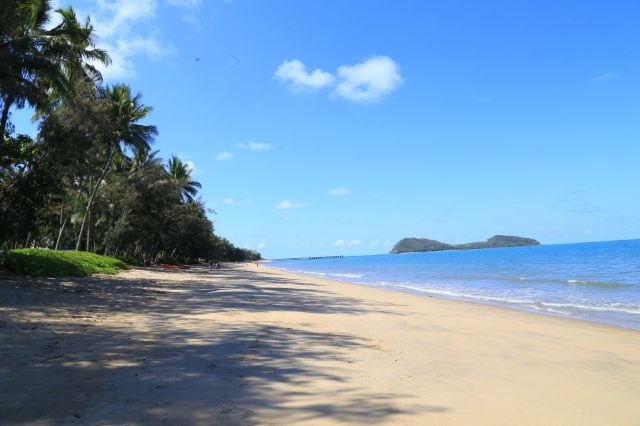 Palm Cove