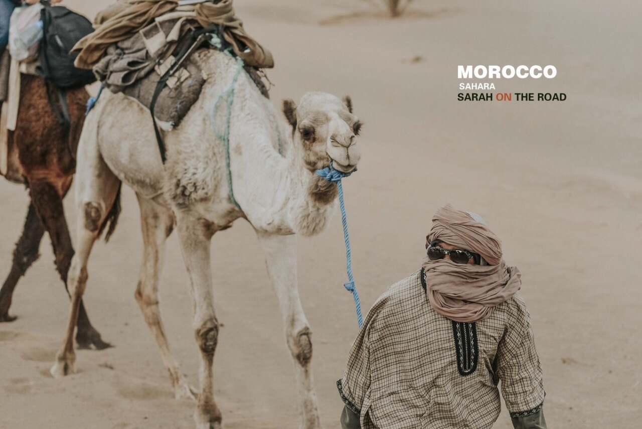 #主题交通#骑着骆驼颠进了撒哈拉沙漠