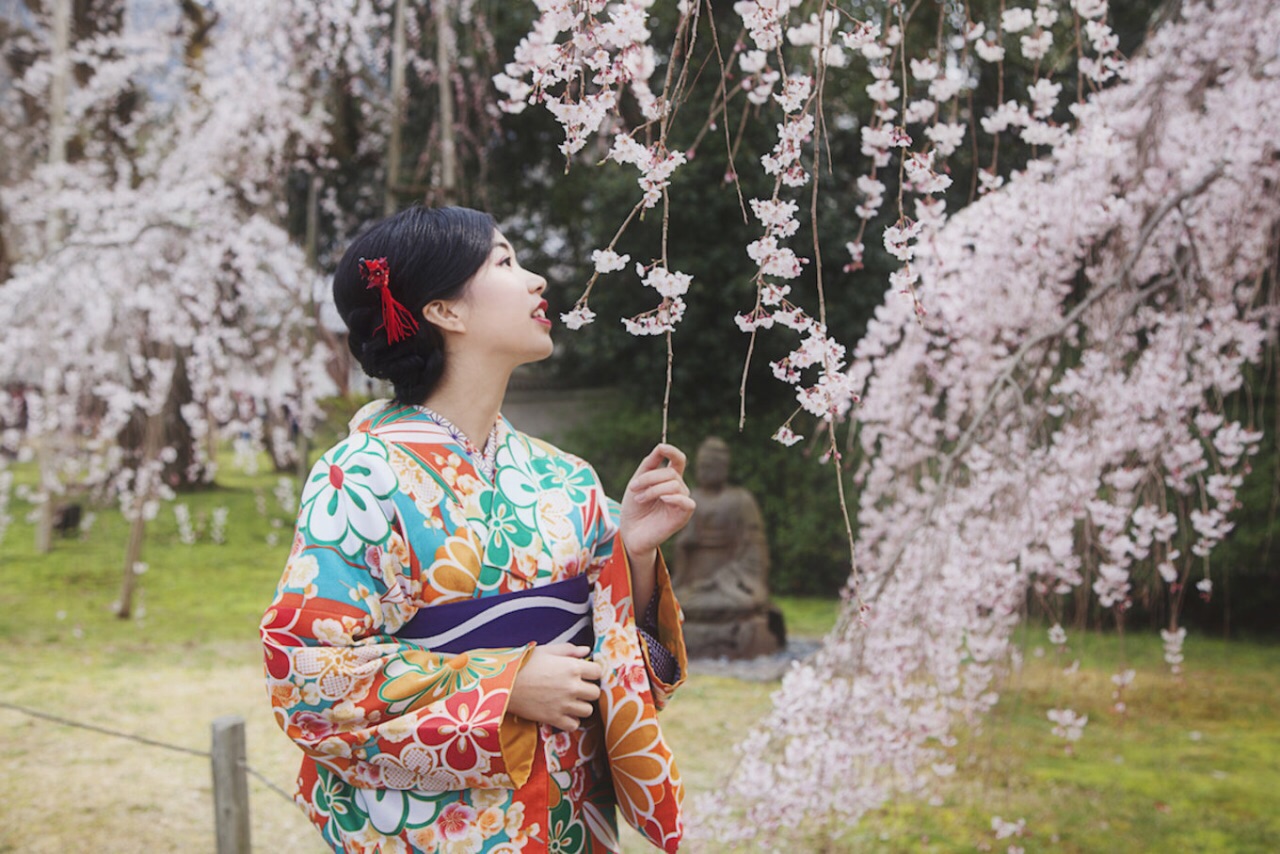 穿着和服去看醍醐寺最美垂樱