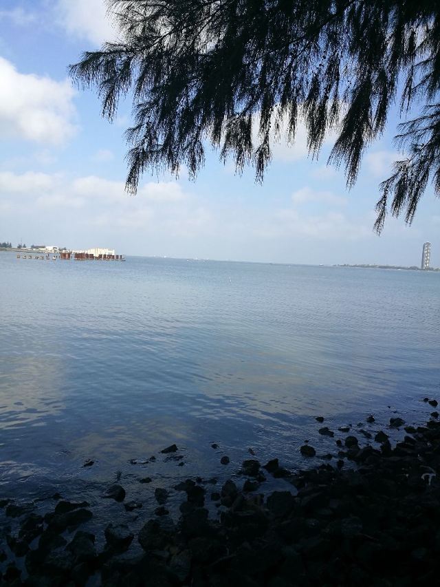 Haikou Century Bridge