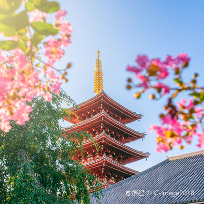 日本东京浅草寺+皇居一日游