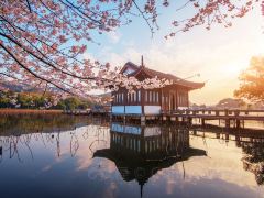 春日下江南，杭州精华3日游