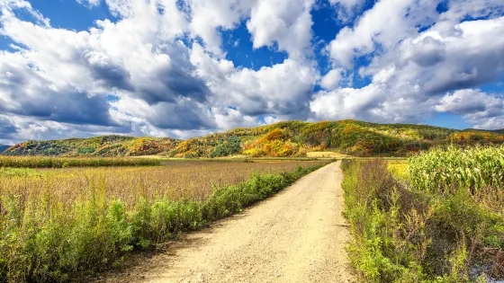 敦化市寒蔥嶺楓葉谷紅色旅遊景區