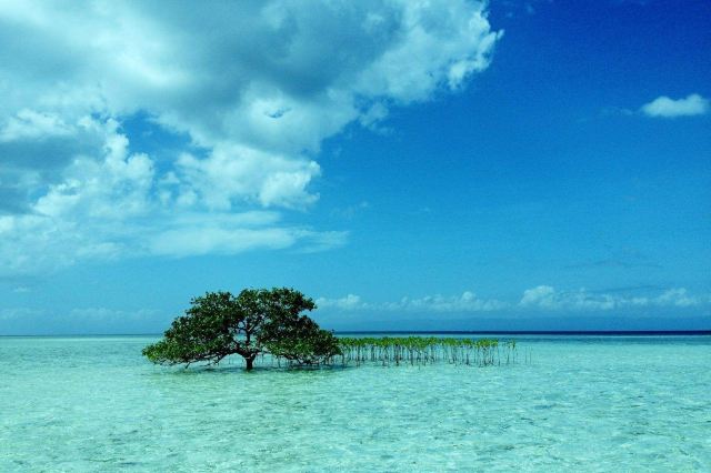 Virgin Island