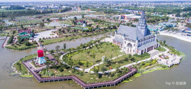 Dutch Flower Sea Tickets Deals Reviews Family Holidays - 