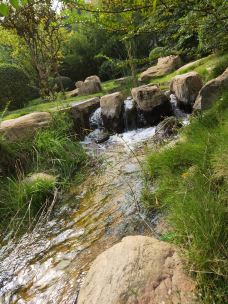 郑州中国绿化博览园-中牟-YoYo_5A4Z8Q2V