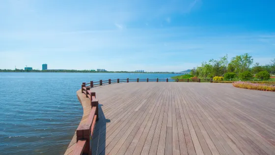 桑溝灣國家城市濕地公園